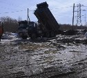 Разбитая грунтовка, мусор, шум и наглые коровы одолели жителей сахалинского СНТ