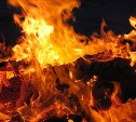 Пожарные тушили сауну в районе Сахалинского зоопарка