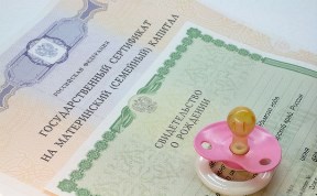 Для владельцев материнского капитала на Сахалине открыли онлайн-кабинет 