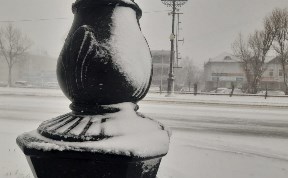 Общество