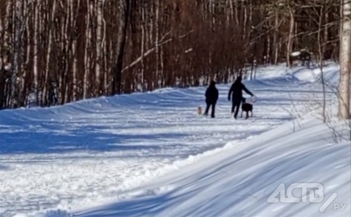 Сахалинцы выгуливают собак прямо по лыжне биатлонного комплекса "Триумф" 