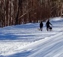Сахалинцы выгуливают собак прямо по лыжне биатлонного комплекса "Триумф" 