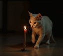 Жители четырёх райцентров Сахалина останутся без света 7 июля