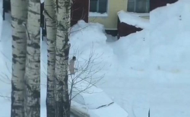 Голый мужчина вышел на пробежку в Быкове