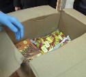 Житель Корсакова прятал наркотики в коробке со стиральным порошком
