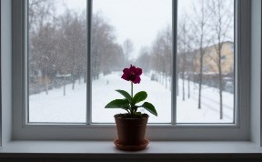 Происшествия