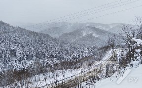 Происшествия