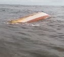 Волна опрокинула лодку с людьми у берегов Сахалина