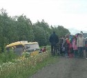 Автобус с детьми съехал в кювет в Анивском районе