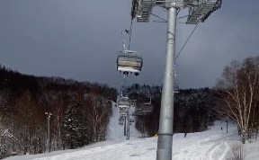 Общество
