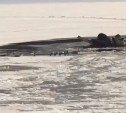 Рыбак провалился под лед на озере Буссе на Сахалине