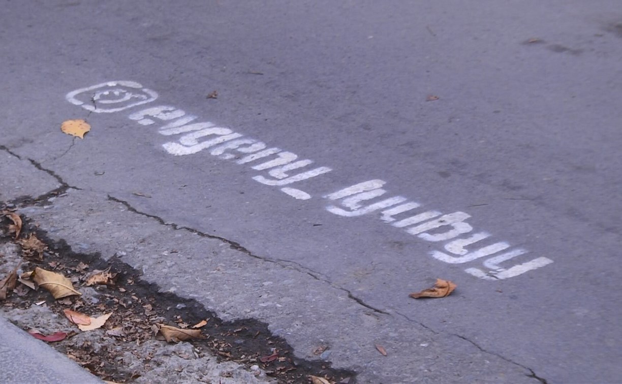 Сахалинский депутат разрисовал тротуары рекламой своего инстаграма