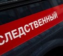 Мертвого мужчину обнаружили при тушении пожара в Вахрушеве