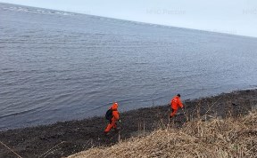 Происшествия