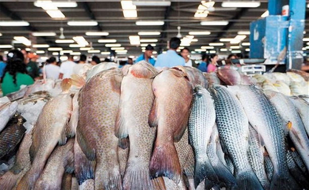 Где можно купить свежий рыба. Рыба на рынке. Оптовый рыбный рынок. Рыба в ассортименте. Живая рыба на рынке.