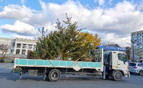Общество