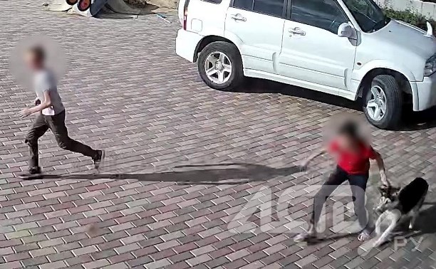 Суровые сахалинские дети стащили сторожевую собаку у соседей, чтобы поиграть