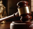 На Сахалине предприниматель трудоустроила 11 "мертвых душ" и получила условный срок