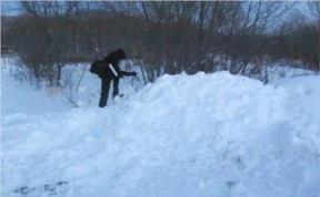 Происшествия