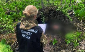 Происшествия
