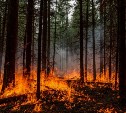 В Долинском районе сохраняется высокий уровень пожарной опасности