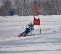 Соревнования по горнолыжному спорту среди ветеранов и любителей состоятся в Южно-Сахалинске 