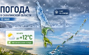 Общество