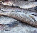 Три вида доступной свежей рыбки предлагают в Южно-Сахалинске