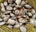 Более 8 тыс. морских петушков изъяли у браконьера сахалинские пограничники