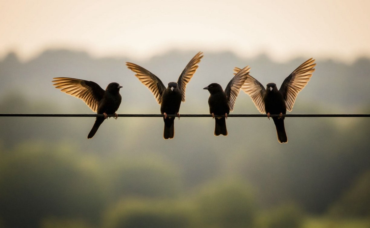 В Тымовском районе привели в порядок линию связи