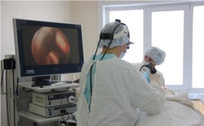 Общество