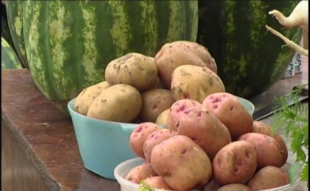 Сколько будут стоить овощи нового урожая, подсчитывают на Сахалине