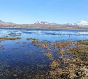 Косметику из лечебной грязи хотят создать камчатские учёные