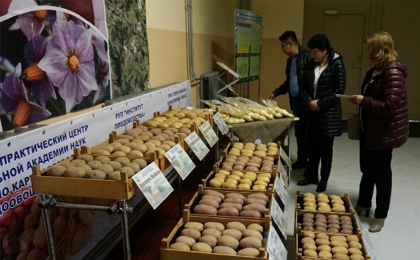 Ежегодно Сахалин закупает на материке продукты на 17 млрд рублей Ежегодно Сахалин закупает на материке продукты на 17 млрд рублей