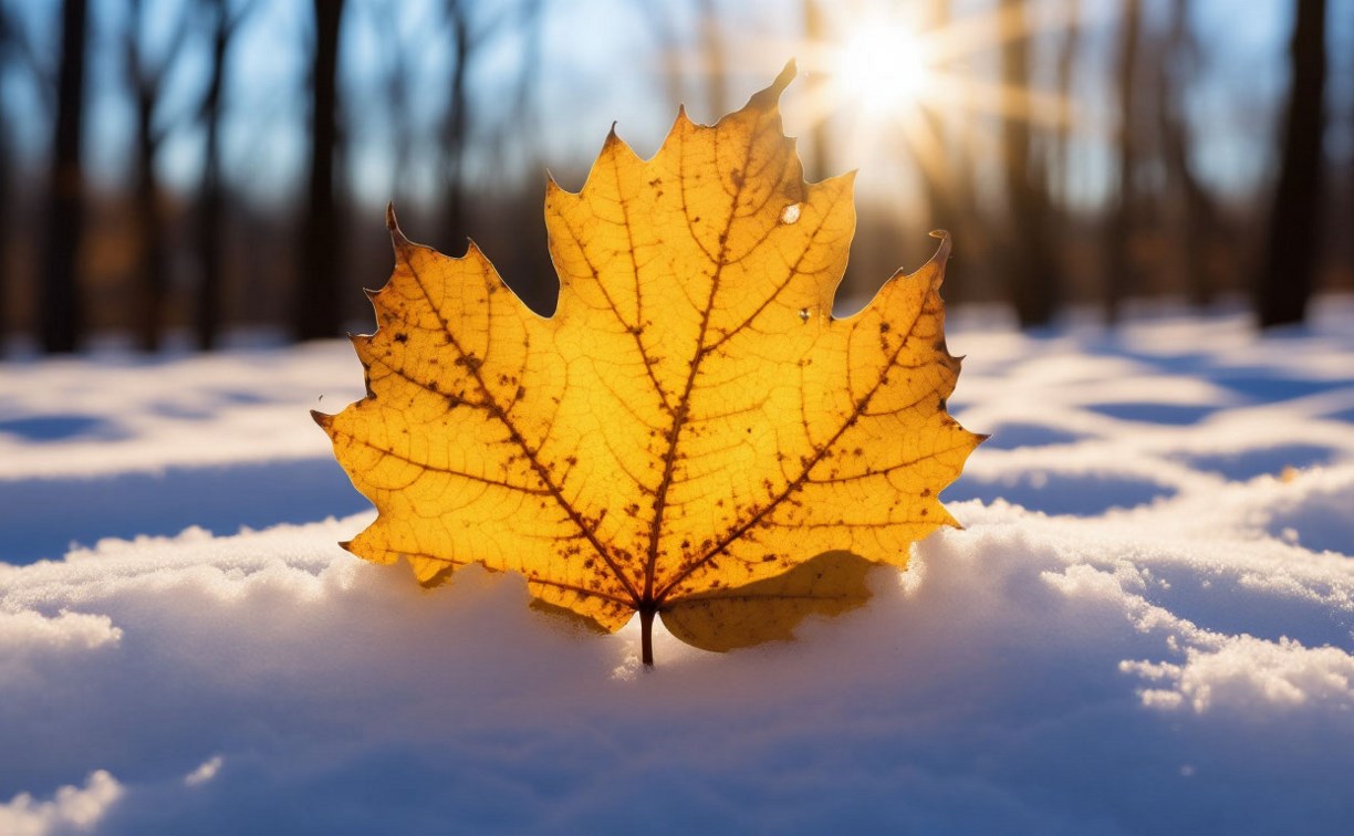 Осадки на любой вкус: прогноз погоды на 9 декабря на Сахалине и Курилах
