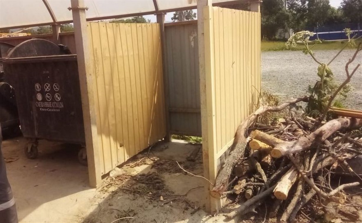 Сахалинцев предупреждают: не стоит выбрасывать обрезки деревьев после субботника в мусорку