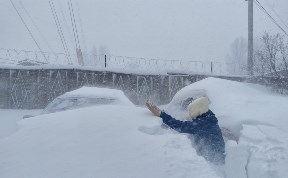 Общество