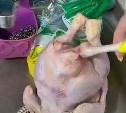 "Это ужас какой-то": курицу-мутанта купила в магазине сахалинка