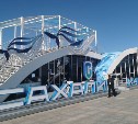 Фильм, приуроченный к окончанию войны и роли островов в Победе, показали на Улице Дальнего Востока