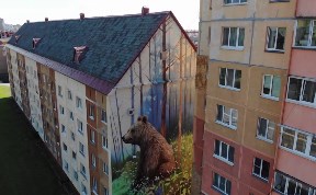 Общество