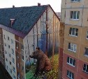Красота, да и только: муралы в Южно-Сахалинске показали с интересного ракурса 