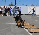 Студенты Южно-Сахалинска познакомились с собаками-полицейскими 