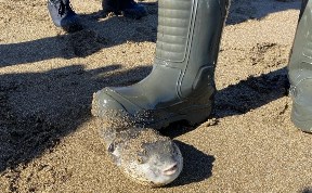 Общество