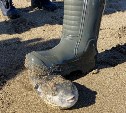 Опасность на береговой рыбалке: в районе Взморья сахалинцы поймали на удочку ядовитую фугу