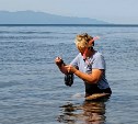 Ученые: глобальное потепление ведет к глубокой перестройке всей морской экосистемы Курил