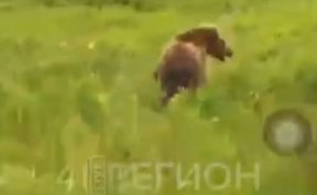 Общество