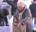 Поронайскую навагу продают по старой цене в Южно-Сахалинске