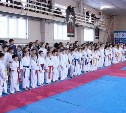 Соревнования по олимпийскому каратэ пройдут в Южно-Сахалинске