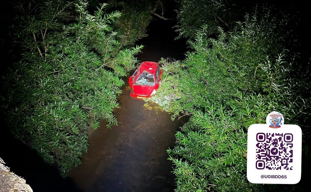 Водитель был пьяный и без прав: в Пионерах Honda Fit улетела в реку и перевернулась 