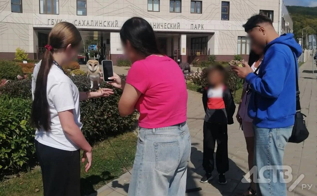 Сахалинцы просят спасти несчастных сов, которых используют для фотосессий в городском парке 